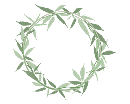 cannabis hemp leaves ornament or green floral frame png