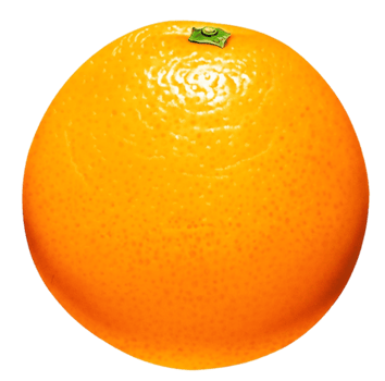 Orange Transparent Background png