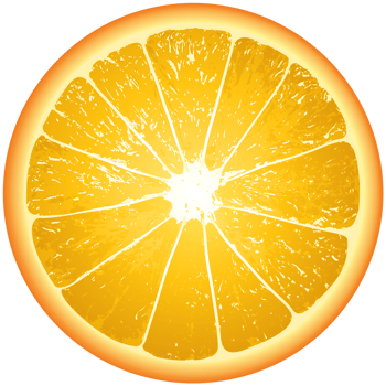 Orange Slice Transparent Background png