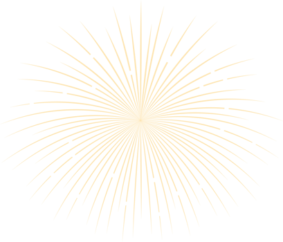 Firework New Year Illustration png