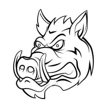 Wild Boar Head Black And White vector