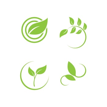 green leaf logo vector