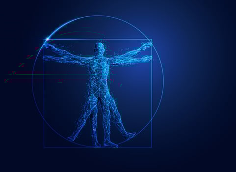 blue polygon Vitruvian vector