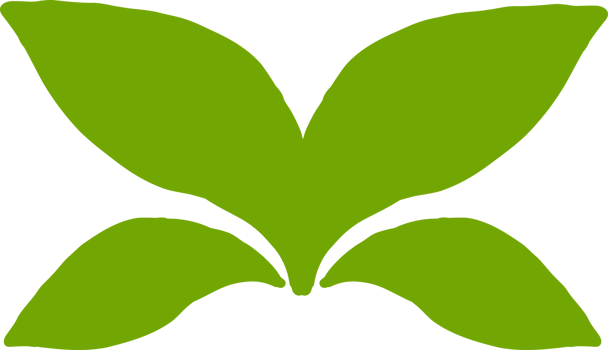 beautiful floral ornament png