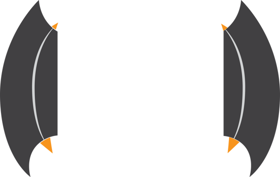 bat wings icon png