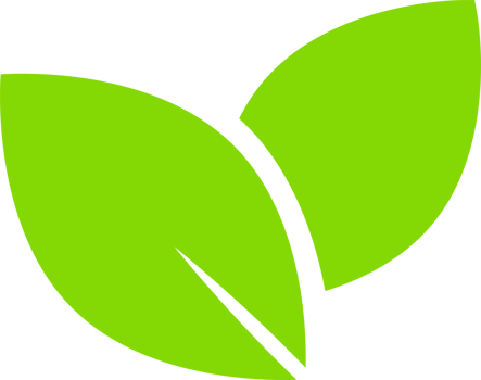 green leaf icon concept png
