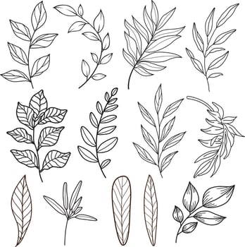 line drawing vector leaf.Abstract leaf Art design for print, cover, wallpaper, Minimal and natural wall art. Vector illustration.