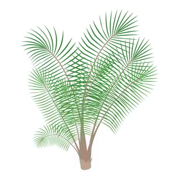 Bamboo palm icon, cartoon style vector
