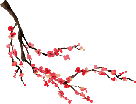 Cherry Blossom Watercolor Flower png