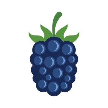 Garden blackberry icon flat isolated vector