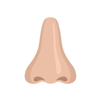 Sommelier nose icon flat isolated vector