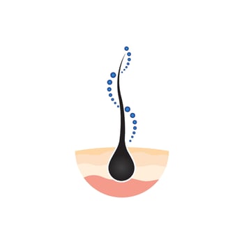Hair symbol vector icon illustration