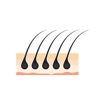 Hair symbol vector icon illustration