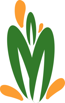 beautiful flower ornament png