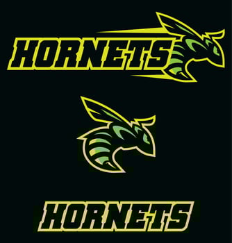 Hornets Team Mascot vector
