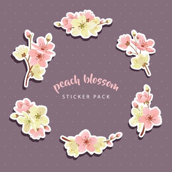 Peach Blossom Sticker Pack vector