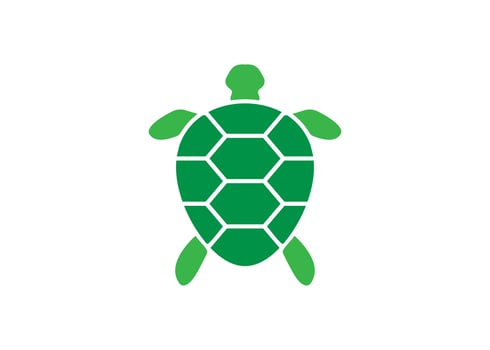 Turtle icon logo design template vector symbol