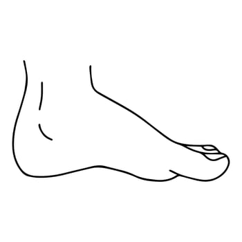 Vector Cartoon outline, Top view of Human man Left and right foot standing. Hand drawn linear sketchy. You can use this image for fashion design and etc.
