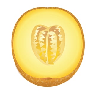 Cutted melon icon cartoon vector. Yellow fruit vector