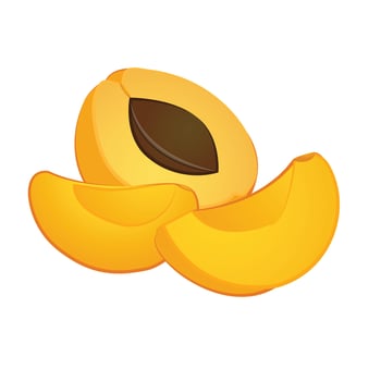 Peach icon cartoon vector. Apricot fruit vector