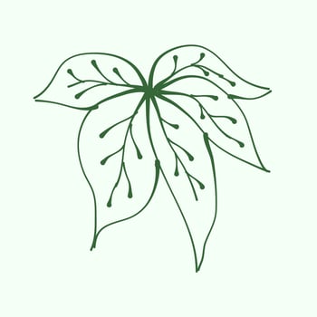 leaf outline for decoration. Vector Leaf Silhouette. Hand drawn branches with leaves and branch. plant.