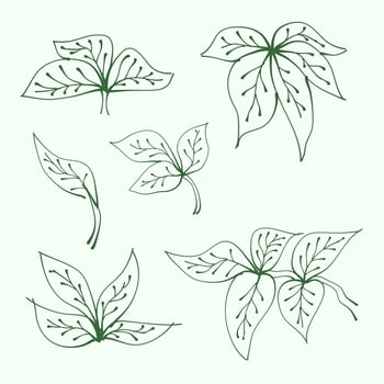 set of leaves. Hand drawn branches with leaves and branch. plant. leaf outline for decoration. Vector Collection of Leaf Silhouettes.