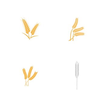 Agriculture wheat Logo vector