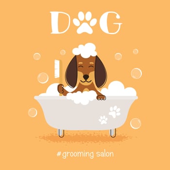 Dog grooming salon vector illustration