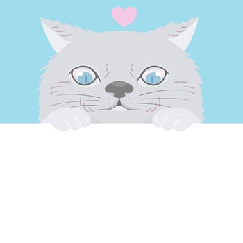 Persian cat looking at blank white space, flat vector illustration.