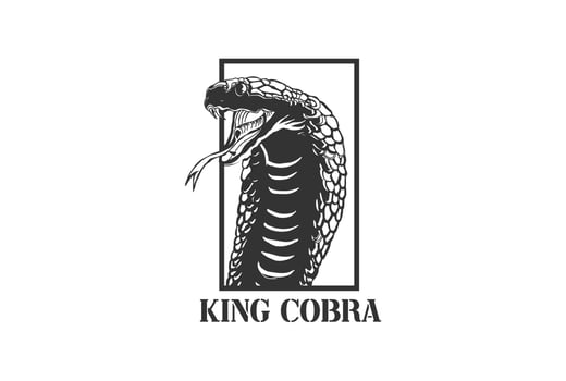 Vintage Retro Poisonous King Cobra or Black Mamba Snake Reptile Head Logo Design vector