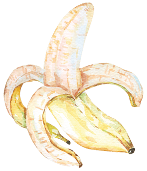 Ripe banana hand drawn watercolor.Fresh banana.Watercolor tropical fruit. png