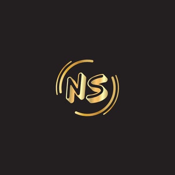 NS Text Logo vector