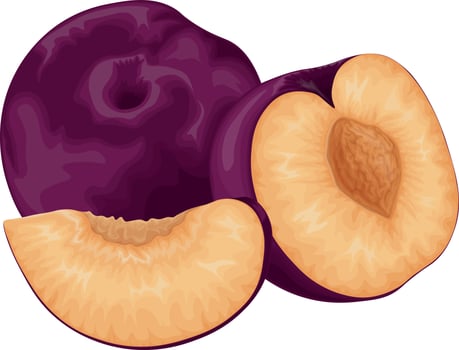 Plum. Ripe purple plum. Fresh sweet plum. Ripe juicy plum berry in the section. Vegetarian organic product. Vector illustration isolated on a white background