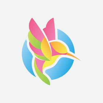 Flying colibri colorfull logo design, natural logo illustration, bird vector illustration