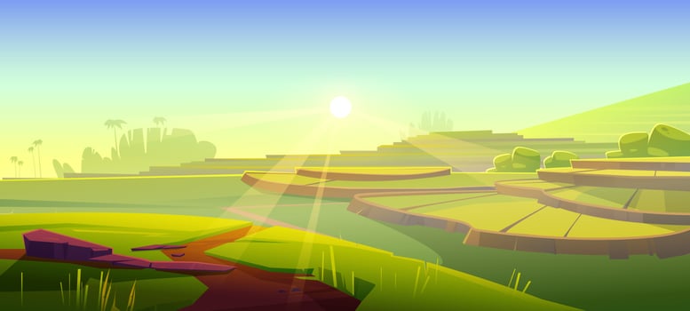 Rice field terraces, green paddy at morning vector