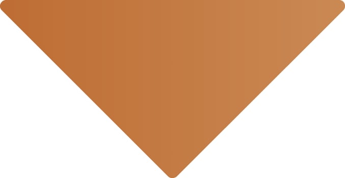 Caret Down Vector Icon Design