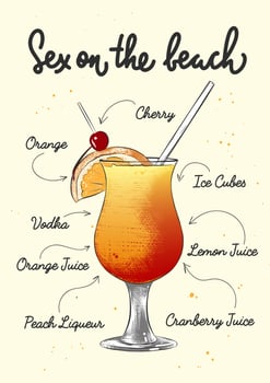 Vector engraved style Sex On The Beach cocktail illustration for posters, decoration, logo and print. Hand drawn sketch with lettering and recipe, beverage ingredients. Detailed colorful drawing.