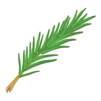 Rosemary icon, cartoon style vector
