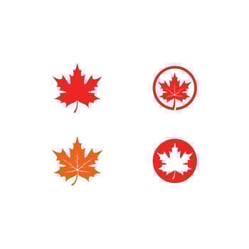 Maple leaf logo template vector icon illustration