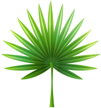 Exotic Leaf Transparent Background png