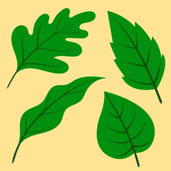 Tropical leaf vector design