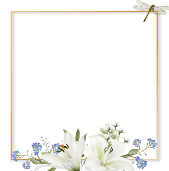 romantic wedding invitation card with greenery floral png