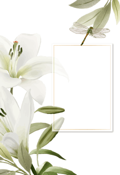 romantic wedding invitation card with greenery floral png