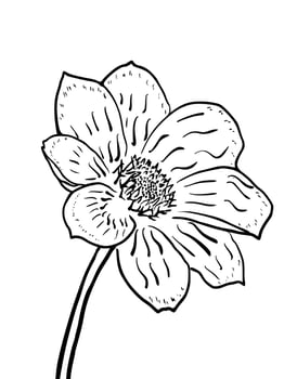 Handdrawn illustration flower for commercial social media nature background promotion event vector