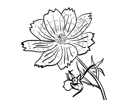 Handdrawn illustration flower for commercial social media nature background promotion event vector