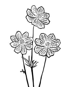 Handdrawn illustration flower for commercial social media nature background promotion event vector