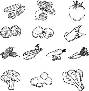 Handdraw doodle of vegetables vector