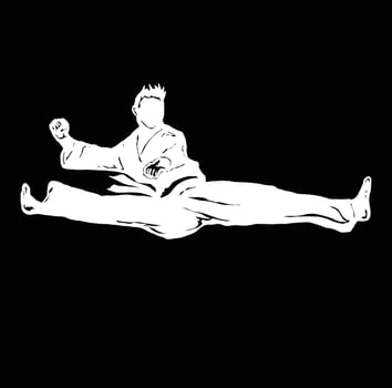 ILLUSTRATION LOGO VECTOR TAEKWONDO KICK