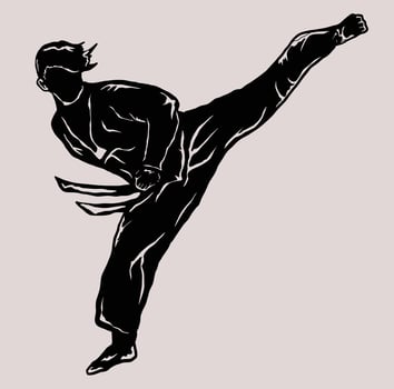 TAEKOWNDO KICK VECTOR LOGO SILHOUETTE