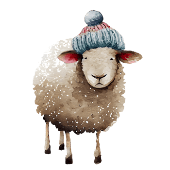 Christmas Woolly Sheep Watercolor png
